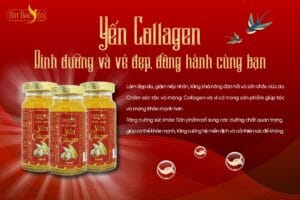 Nguyên liệu quý cho làn da trẻ đẹp từ Bát Bảo Yến