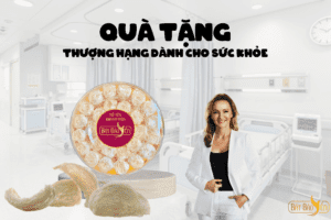 Bổ sung dinh dưỡng cho cơ thể từ Bát Bảo Yến
