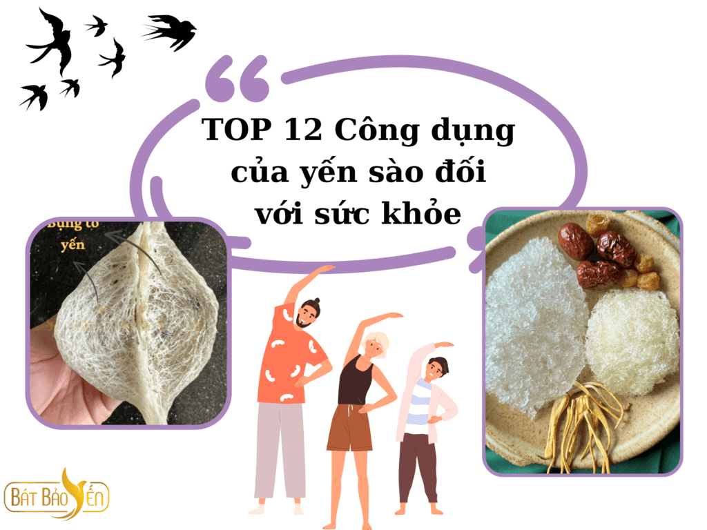 Top 12 công dụng của yến sào đối với sức khỏe | Bát Bảo Yến