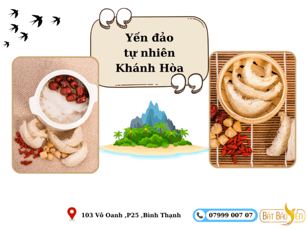 Yến đảo tự nhiên chất lượng cao Khánh Hòa