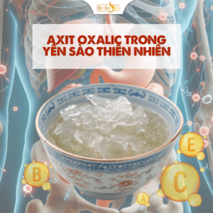 Các glycoprotein và axit oxalic trong yến sào thiên nhiên.