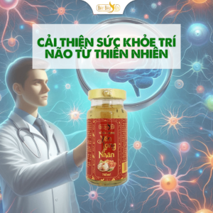 Tăng cường trí nhớ từ yến sào.