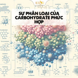 Cấu trúc Carbohydrate phức hợp.