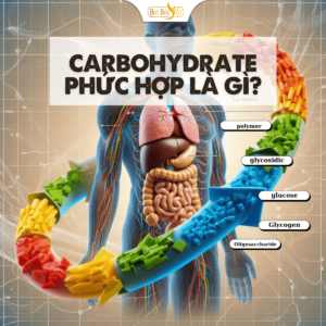 Carbohydrate phức hợp là gì?
