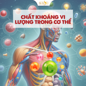 Chất khoáng vi lượng quan trọng như thế nào?