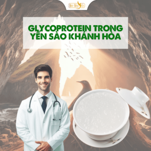 Cấu trúc và đặc điểm của glycoprotein.