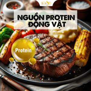 Thực phẩm cung cấp protein cho cơ thể.