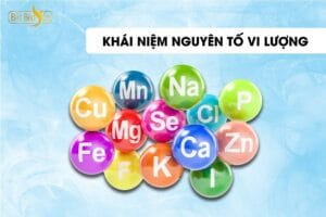 Nguyên tố vi lượng gồm những yếu tố nào?