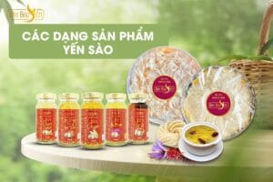 Phục hồi thể chất cùng yến sào thiên nhiên Khánh Hòa.