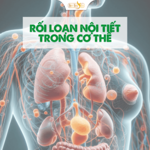 Khám phá ngay rối loạn nội tiết để hiểu hơn về sức khỏe và cơ thể.