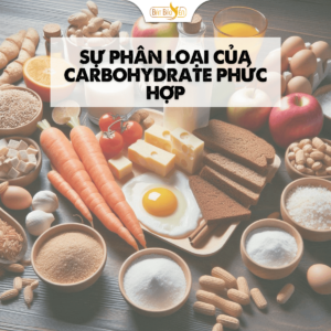 Tính chất của carbohydrate phức hợp.