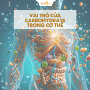 Carbohydrate phức hợp trong cơ thể.