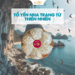 Yến sào tinh chế từ thiên nhiên.